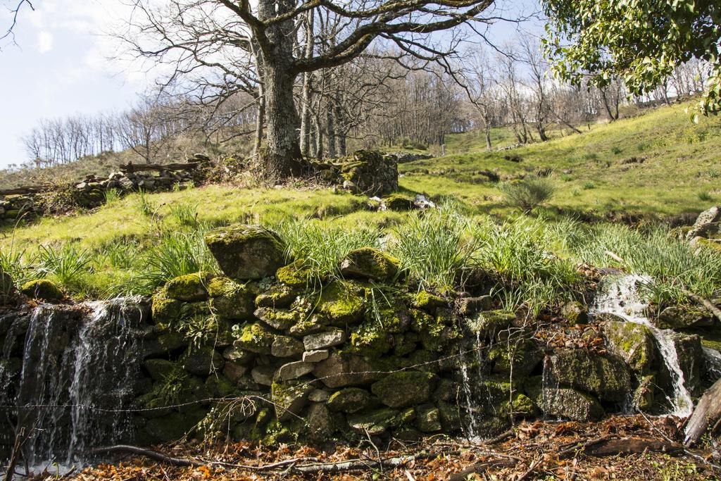 Casa Rural Fuente El Boticario Aldeanueva de la Vera Bagian luar foto