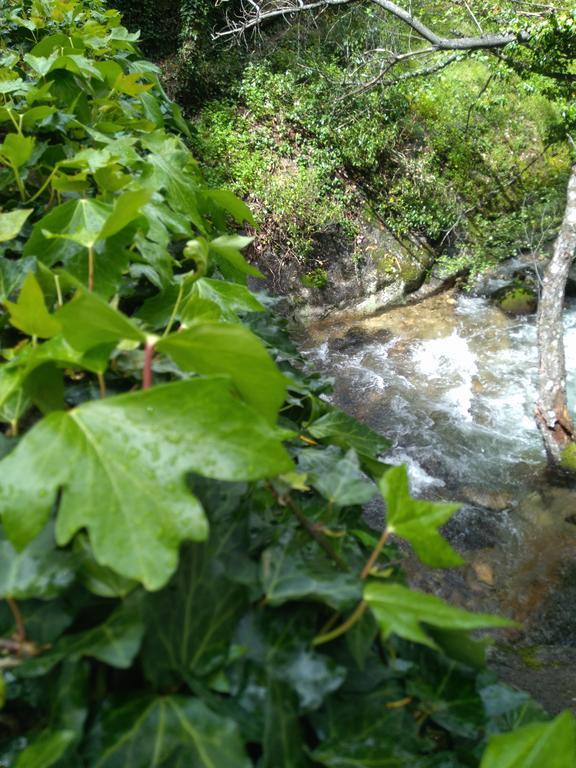 Casa Rural Fuente El Boticario Aldeanueva de la Vera Bagian luar foto