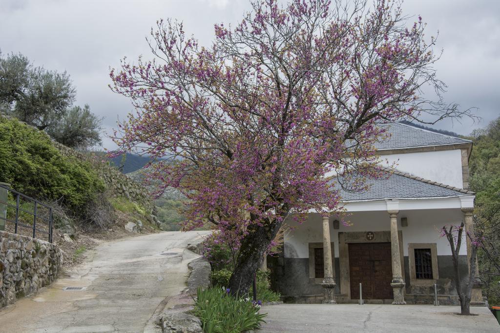Casa Rural Fuente El Boticario Aldeanueva de la Vera Bagian luar foto